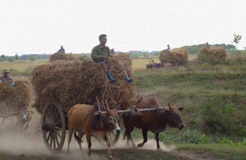 The countryside is still as it was years past